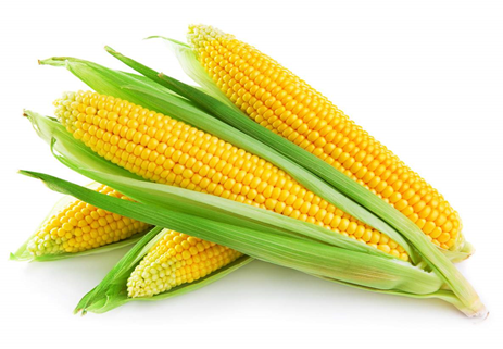 Фото продукта
